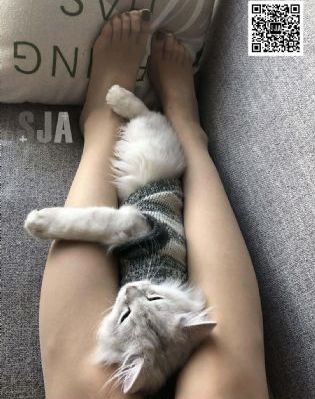 灯草和尚2之白蛇前传