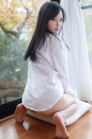 细狗网页版