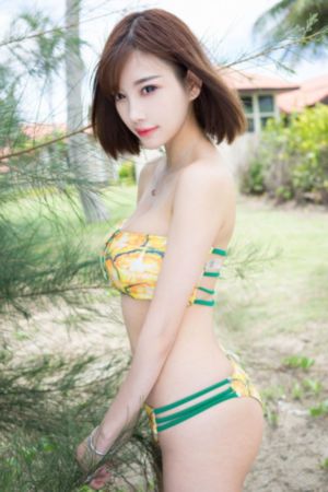 间谍过家家在线观看