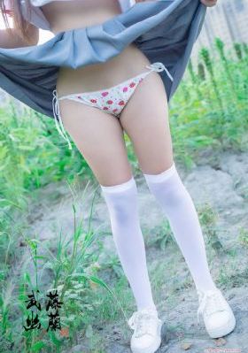 神犬奇兵电视剧全集免费观看
