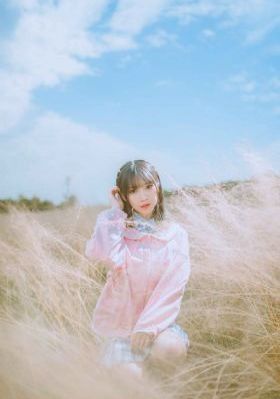 何以箫声默电视剧免费全集